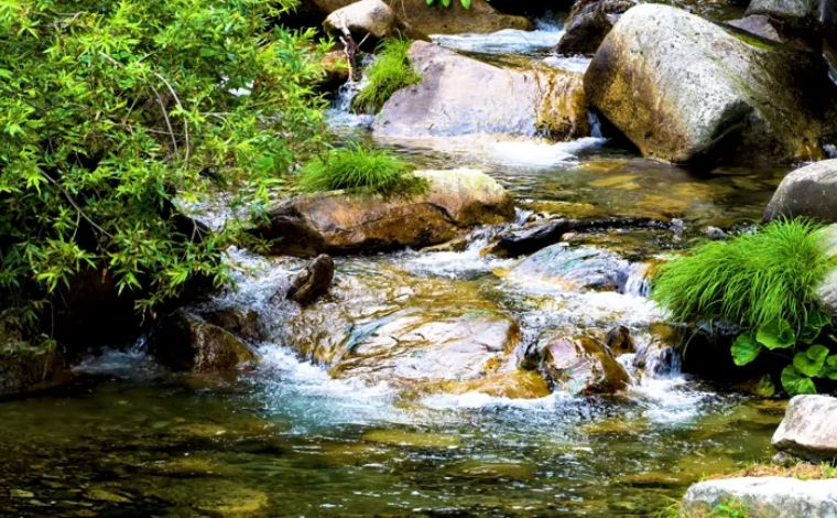 Ridge-Line Hydrology Managing Water Flow to Preserve Topographic Integrity