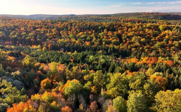 The 2026 Sunset Strategic Shielding Against the $15M Estate Tax Cliff