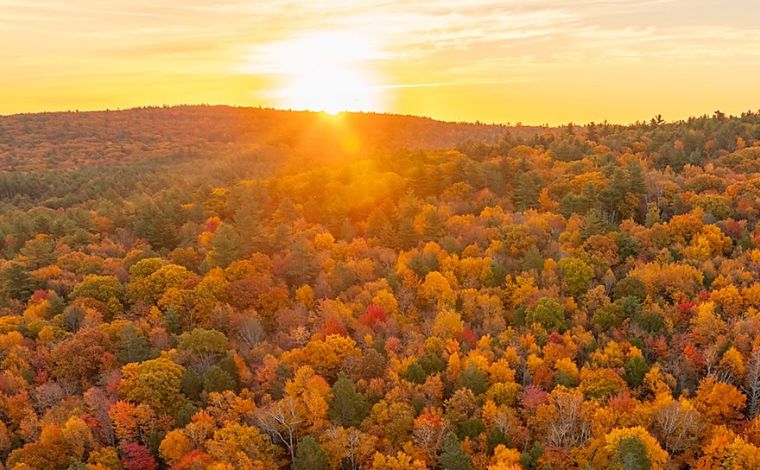 The 2026 Sunset Strategic Shielding Against the $15M Estate Tax Cliff