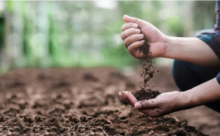 The Foundation of Wealth Decoding the USDA Soil Capability Index