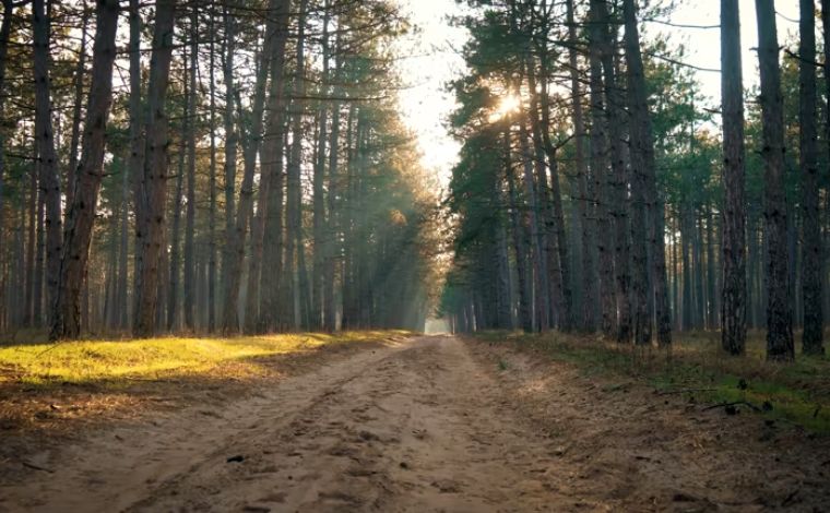 The Operational Stealth Protocol Boundary Defense through Precision GIS and LiDAR Integration