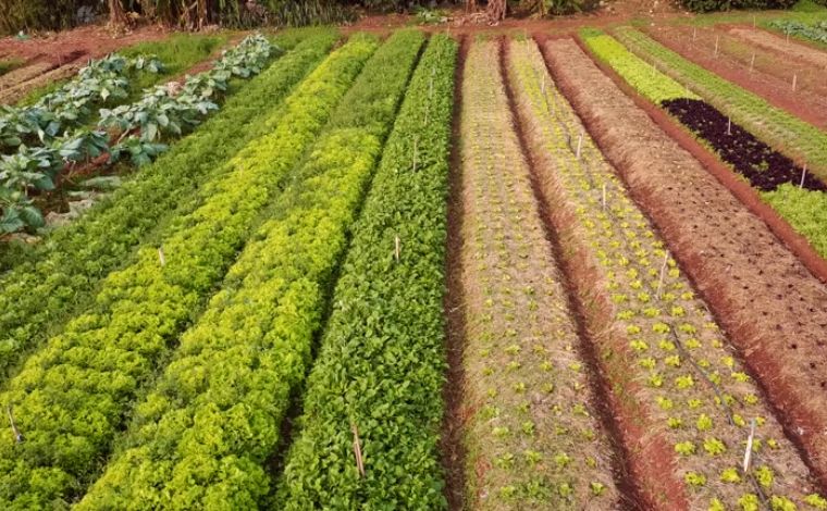 The Soil-Based Lease Using the USDA Capability Index to Protect Land Values in Tenant Negotiations