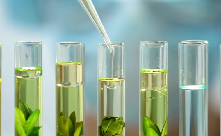 The Value of the Class Quantifying Soil Capability in Agricultural Asset Appraisal