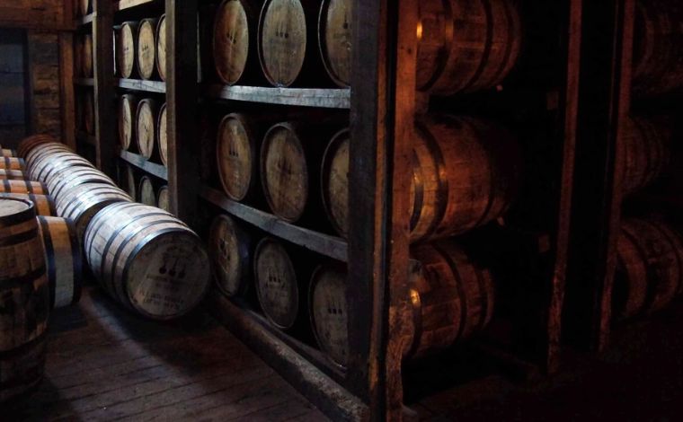 The White Oak Premium Managing Quercus Alba for Precision Cooperage and Export Markets