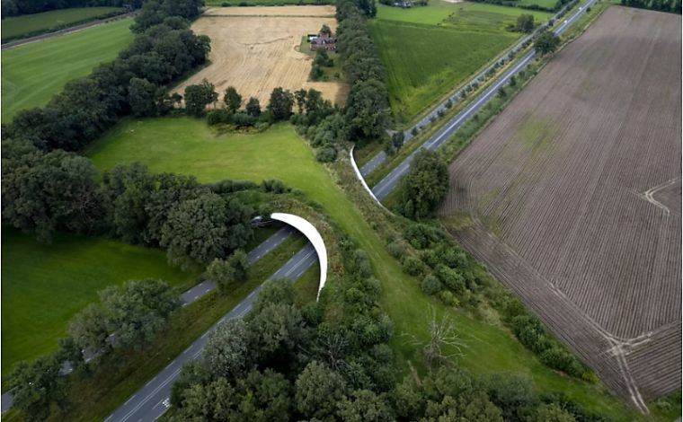 The Wildlife Economy Leveraging Biodiversityfor Ecological and Financial Yield