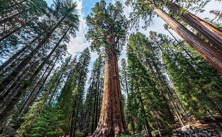 Vertical Equity The 262-ft Ridge Line as a Critical Node for 2026 Connectivity