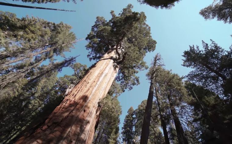 Vertical Equity The 262-ft Ridge Line as a Critical Node for 2026 Connectivity